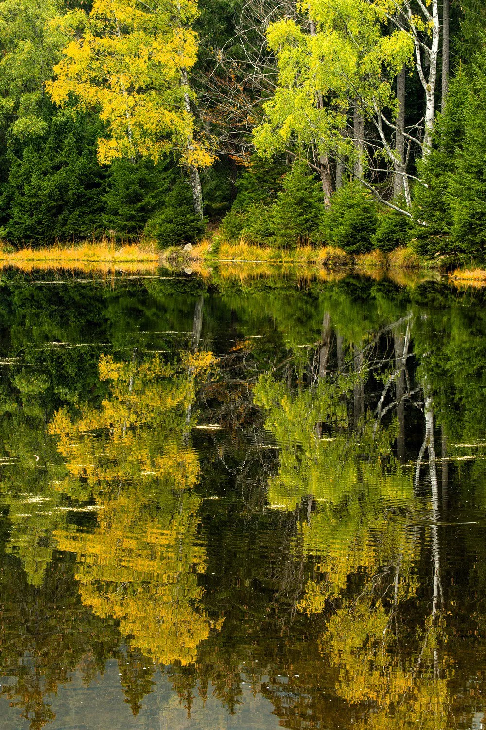 PGE-kleiner Arbersee-AL-08.jpg