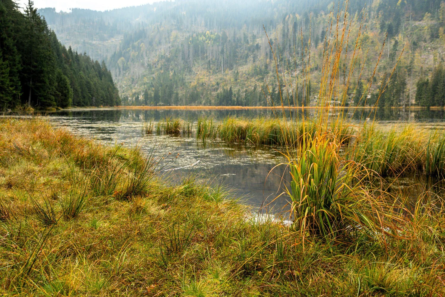 PGE-kleiner Arbersee-AL-10.jpg