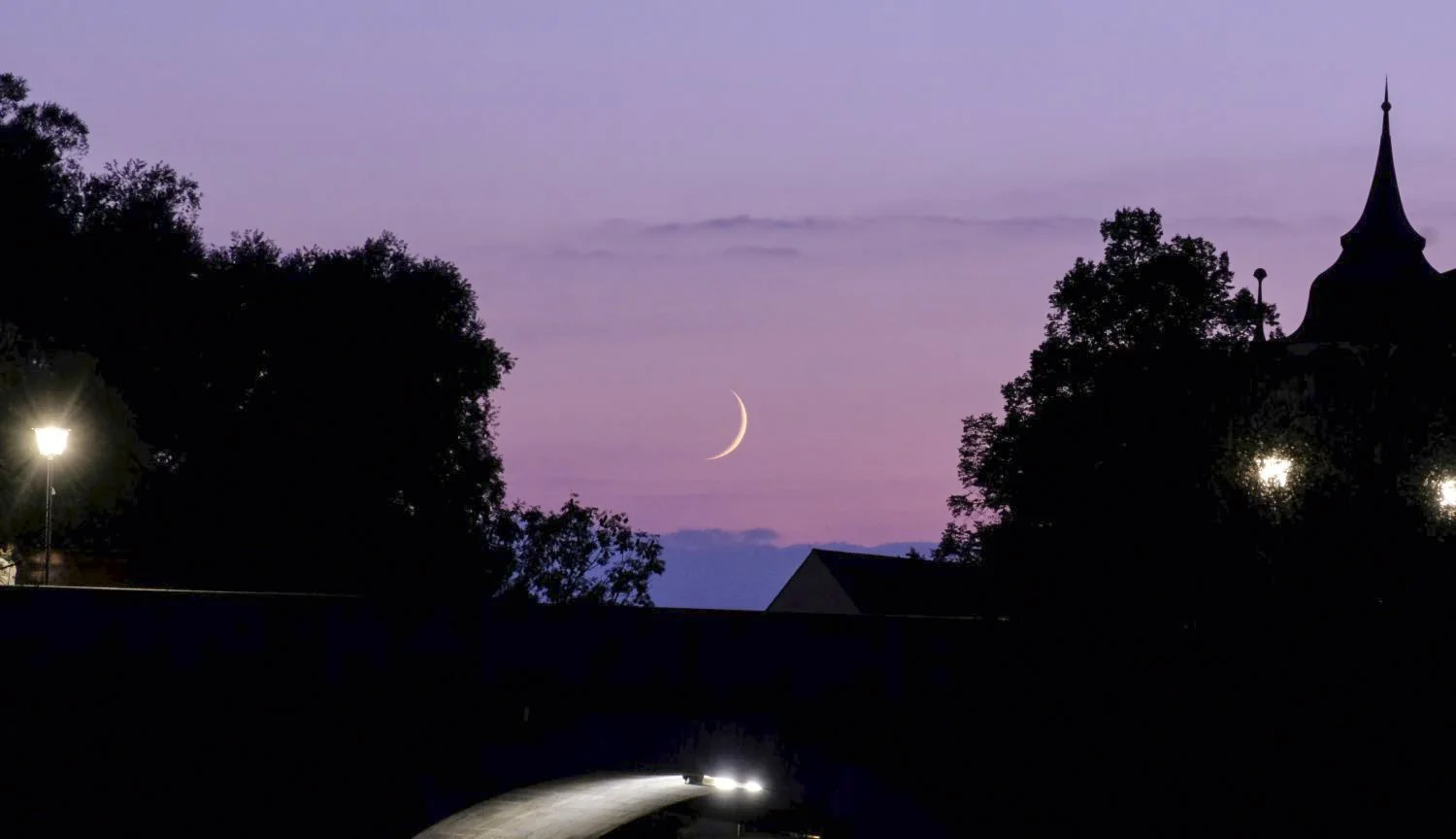 JN PG BG 01-2026-10.jpg