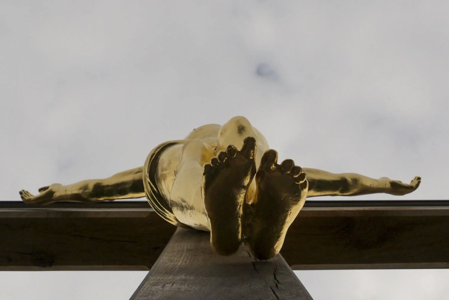 JN PG BG 01-2026-21.jpg