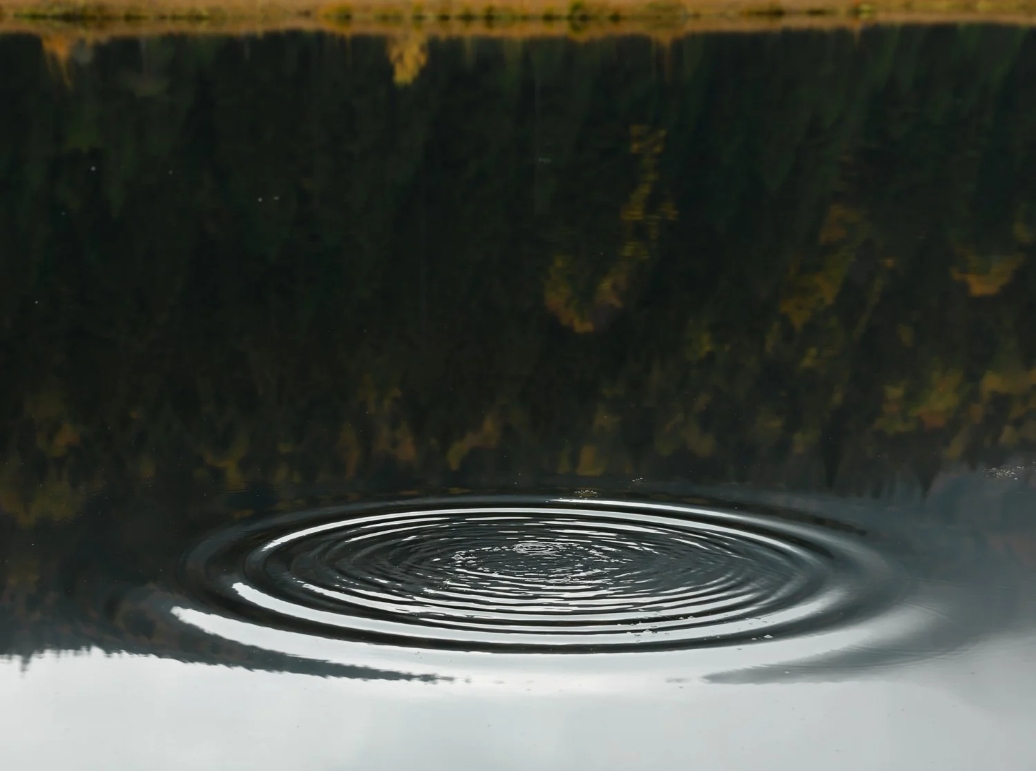 PGE-kleiner Arbersee-GK-04.jpg