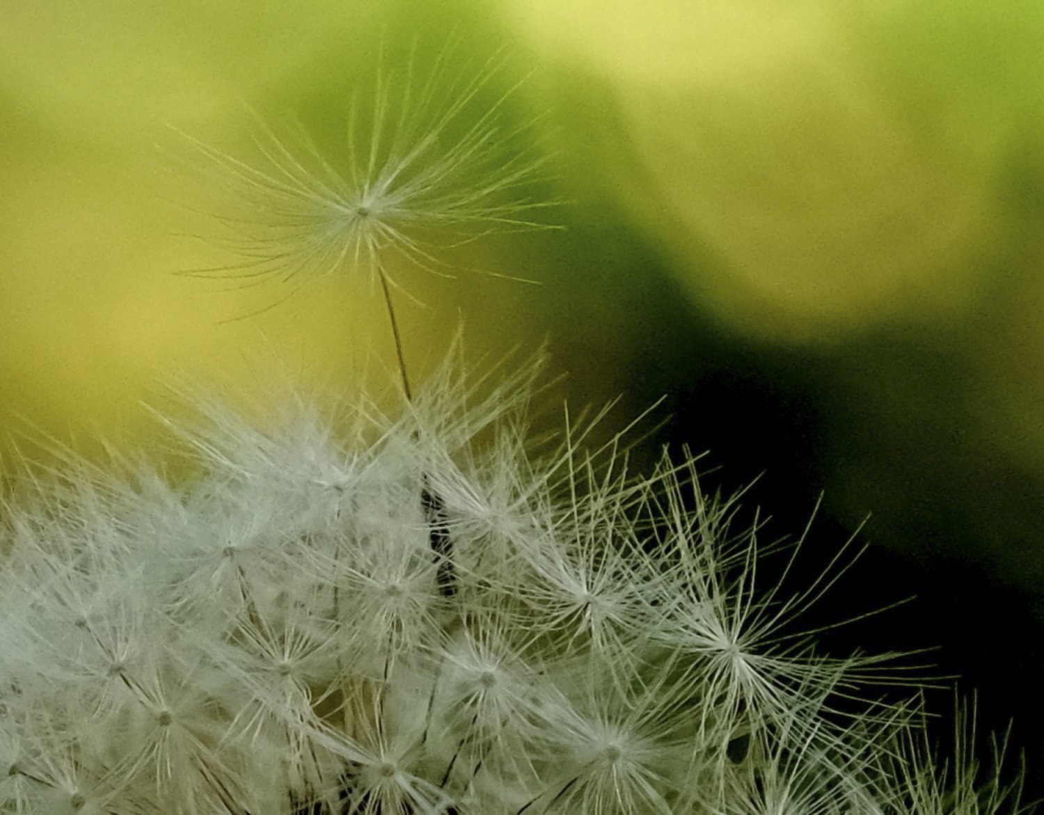 JN PG BG 01-2026-15.jpg