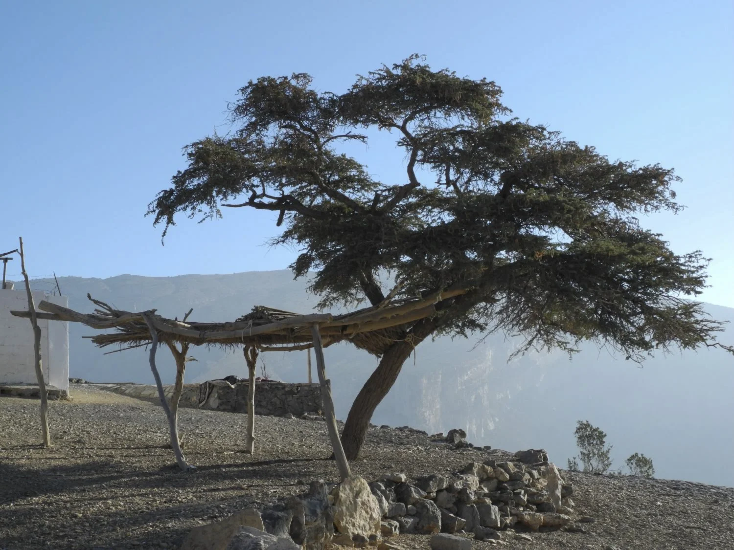 JN PG BG 01-2026-35.jpg