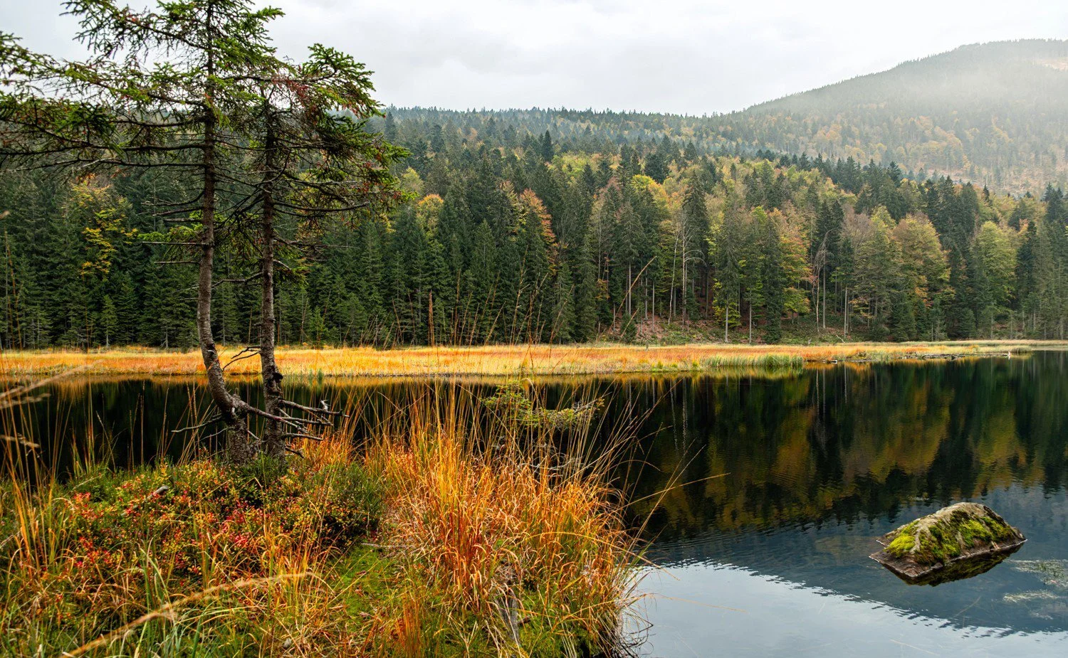 PGE-kleiner Arbersee-AL-01.jpg
