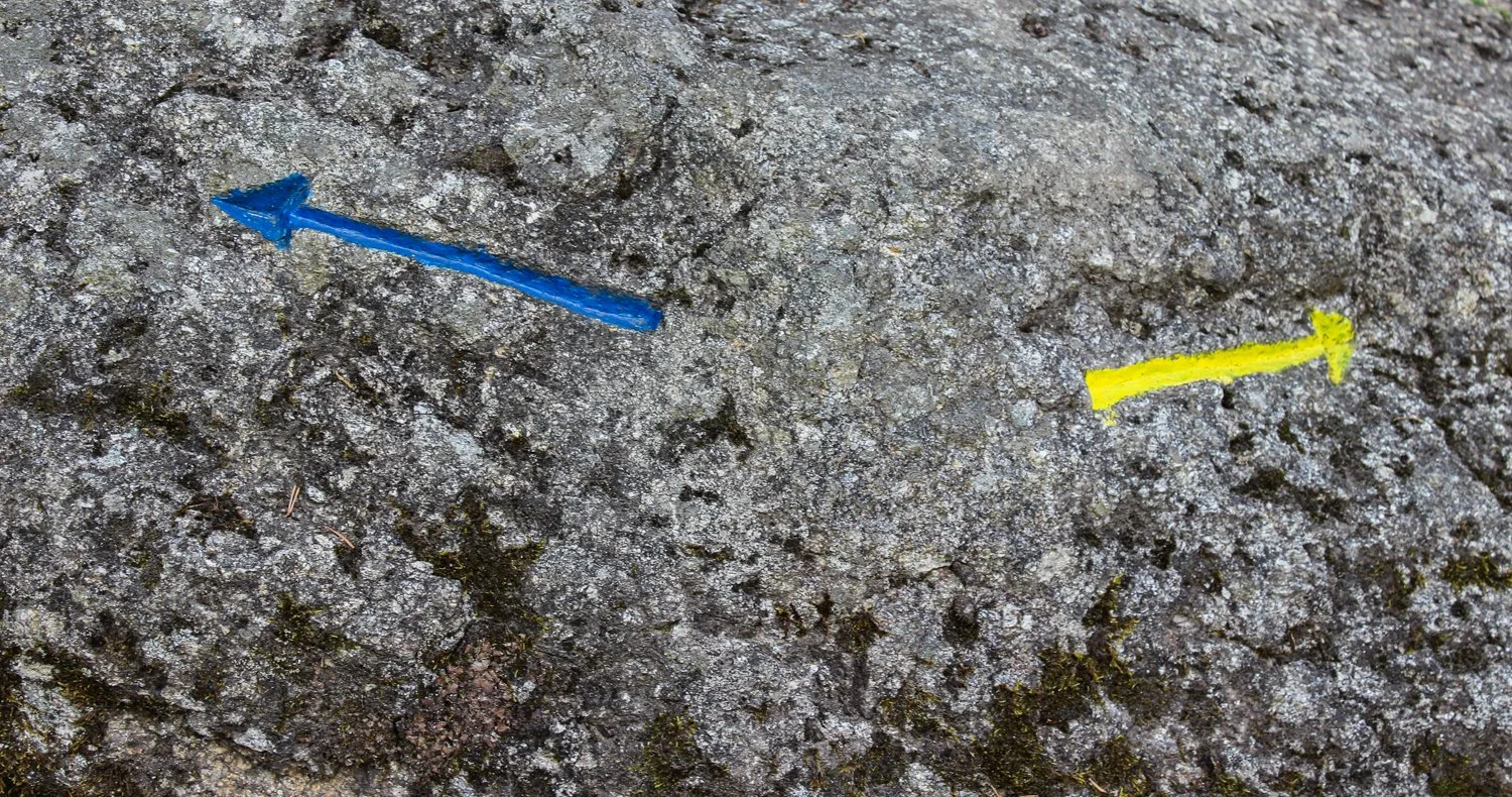 FLLB-RG-03.jpg