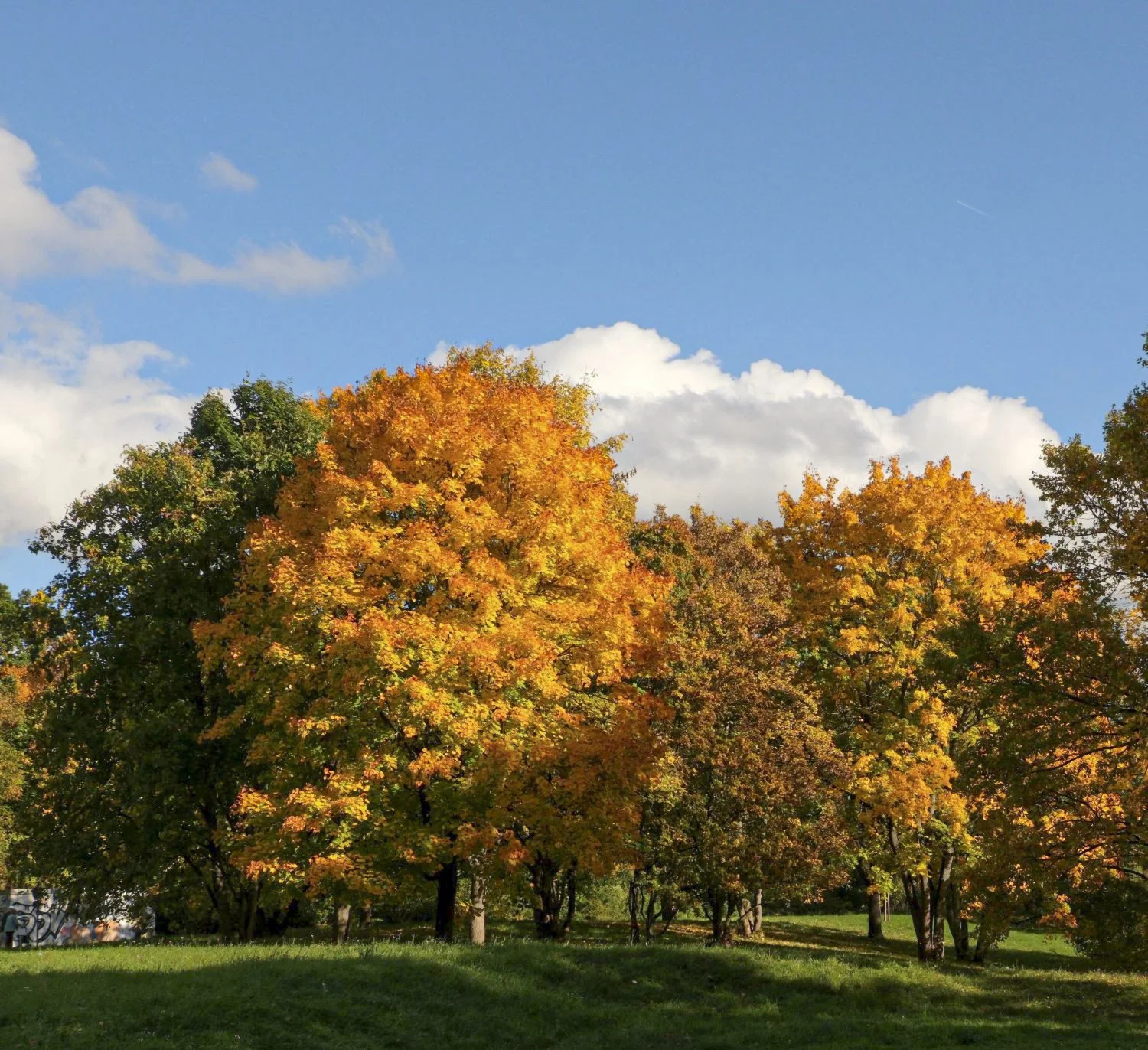 JN PG BG 01-2026-09.jpg