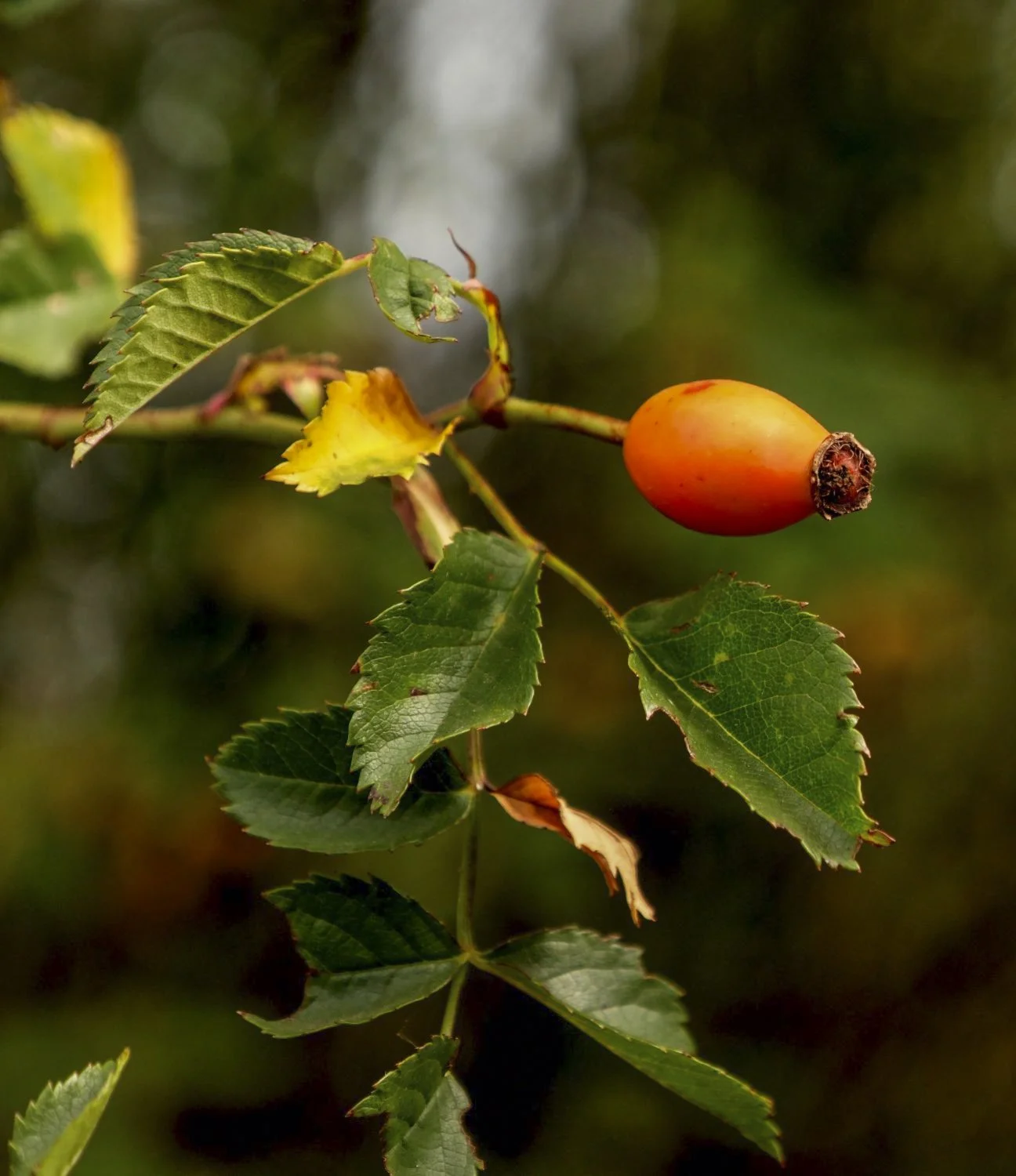 JN PG BG 01-2026-12.jpg