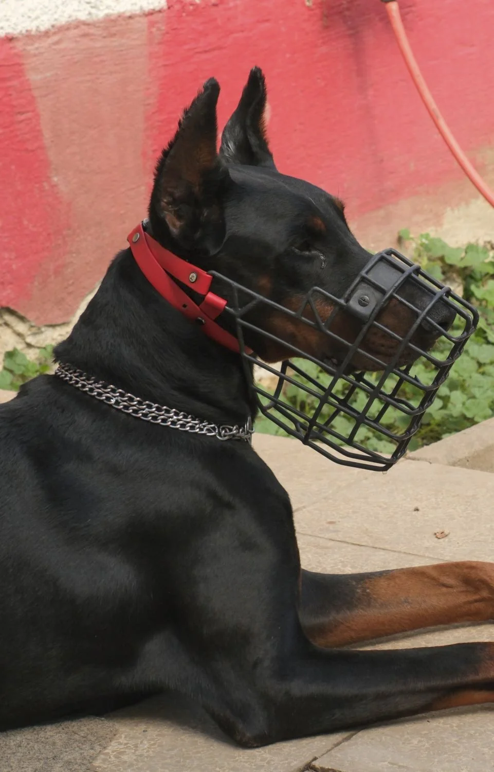 JN PG BG 01-2026-20.jpg