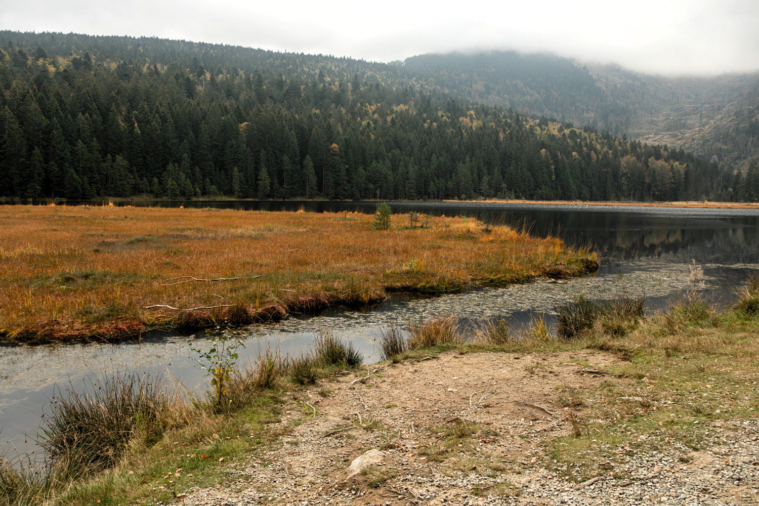 PGE-kleiner Arbersee-AL-13.jpg