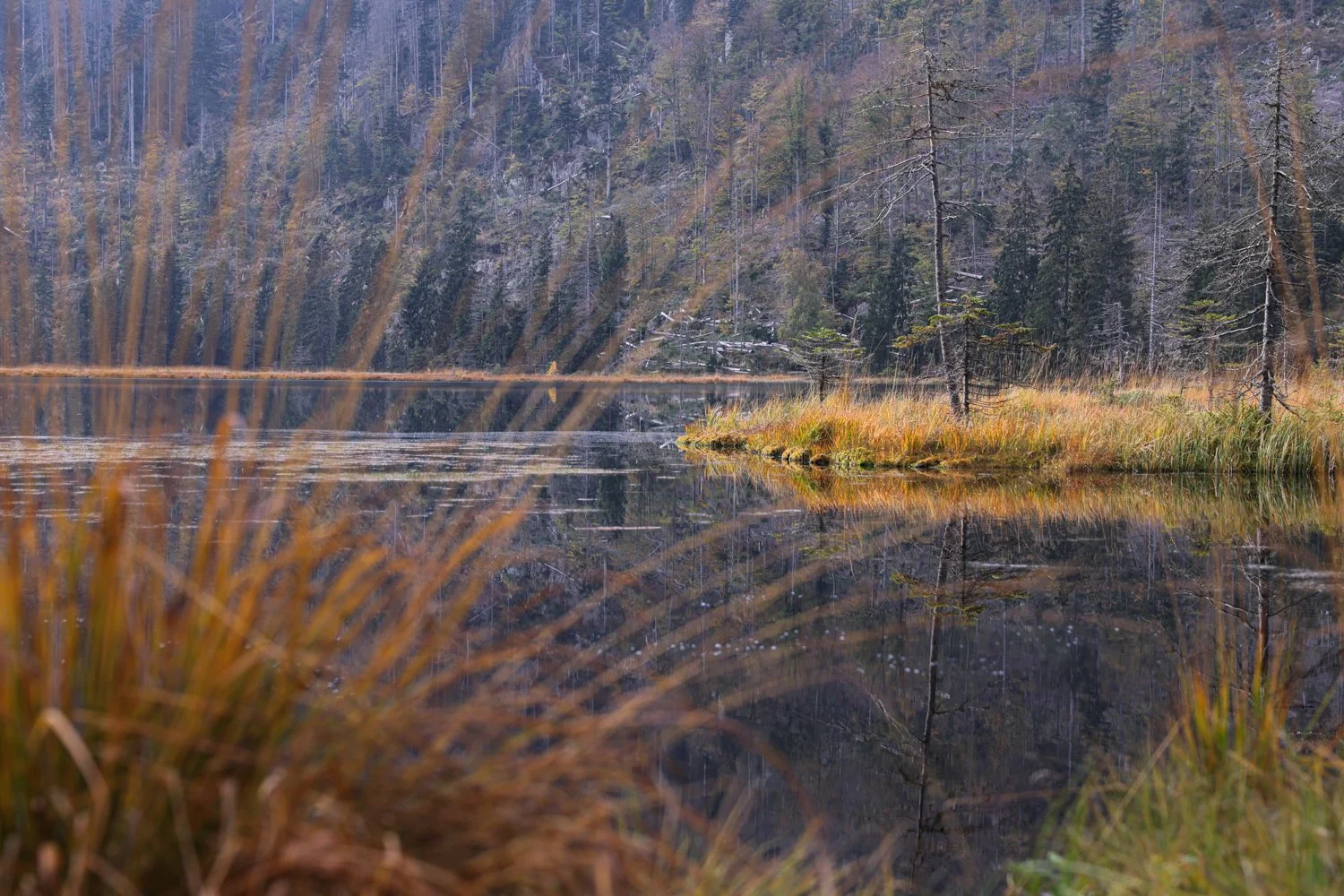 PGE-kleiner Arbersee-GK-12.jpg