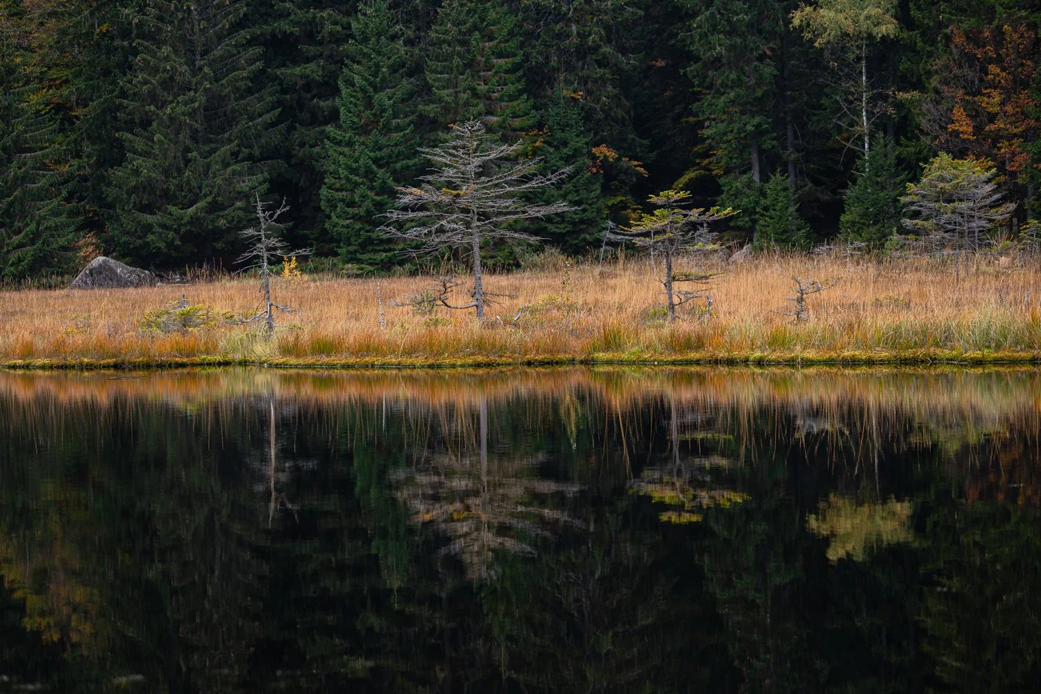PGE-kleiner Arbersee-AB-09.jpg