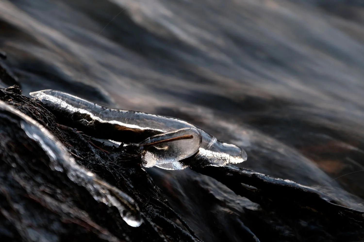 2022-Johanna Neumann.JPG