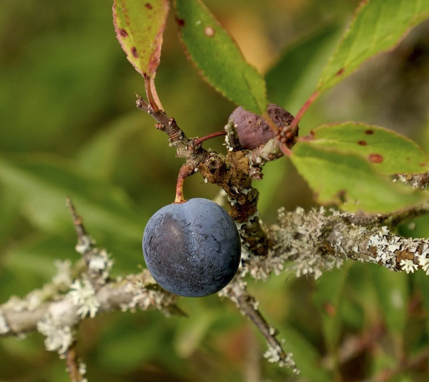 JN PG BG 01-2026-04.jpg