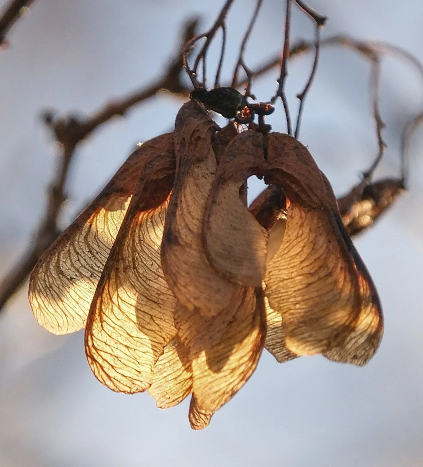 JN PG BG 01-2026-18.jpg