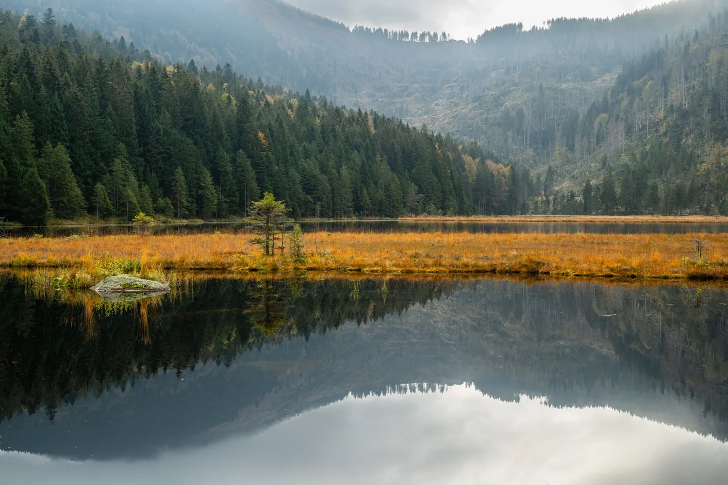 PGE-kleiner Arbersee-WP-05.jpg