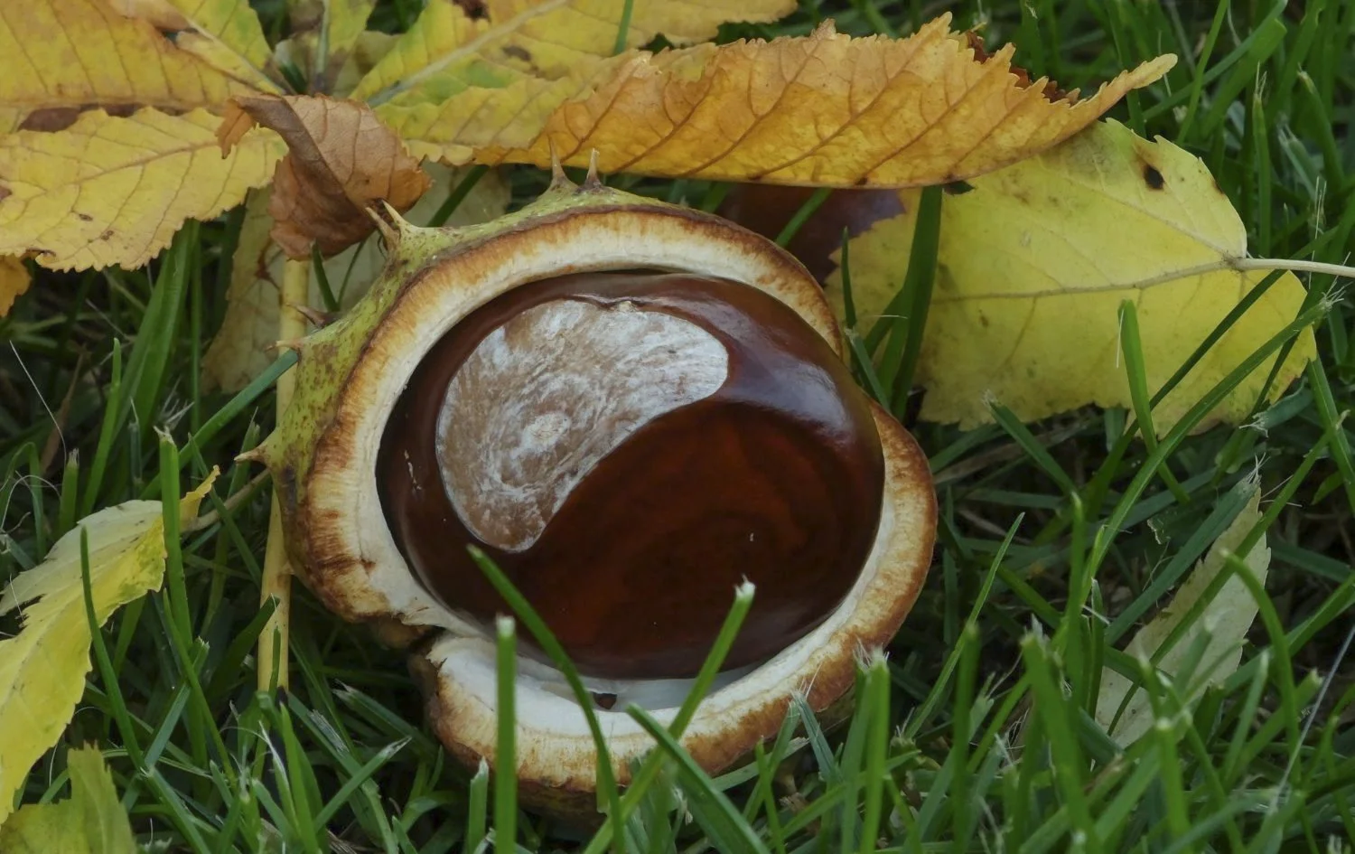 JN PG BG 01-2026-25.jpg