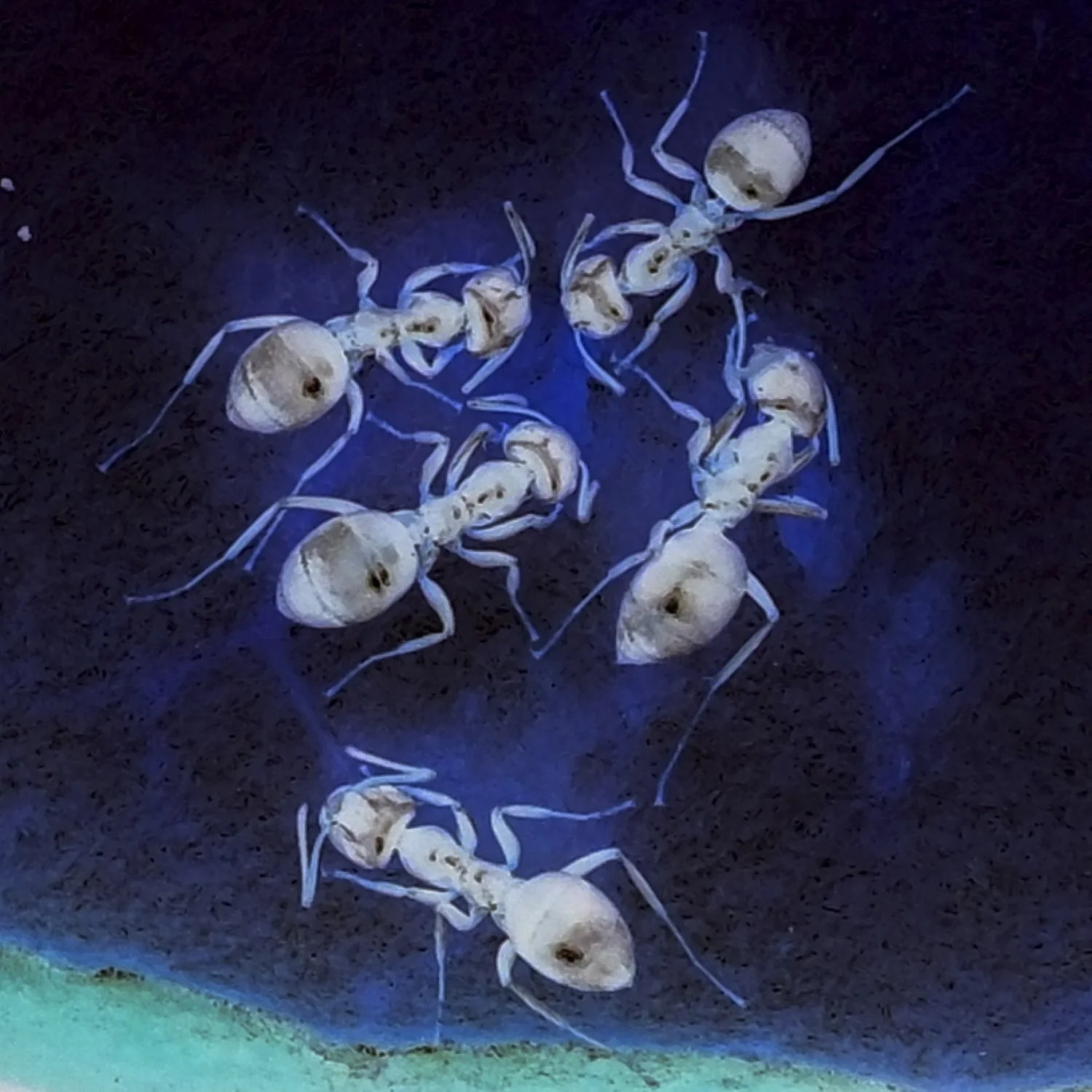 JN PG BG 01-2026-37.jpg