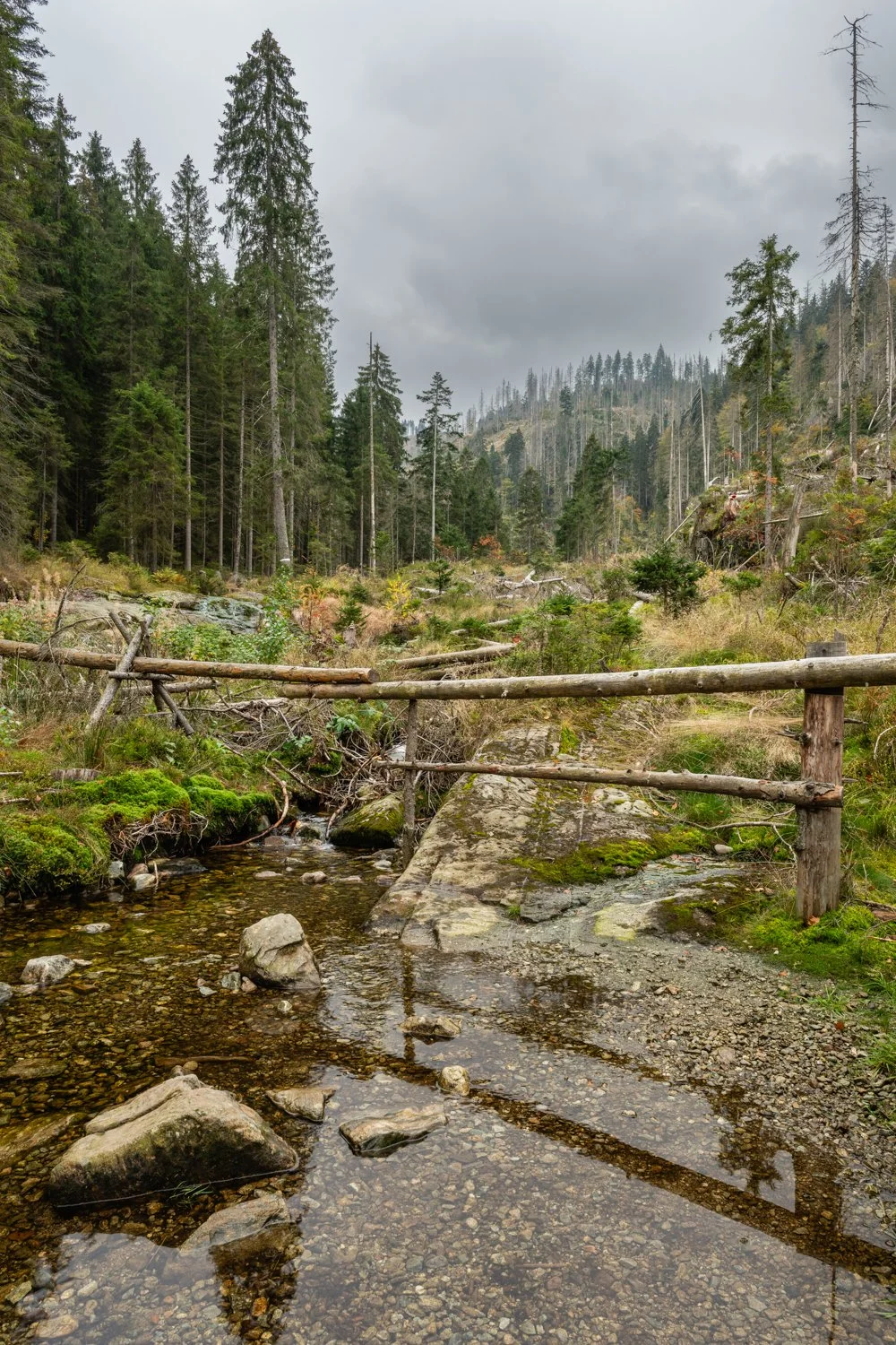 PGE-kleiner Arbersee-WP-15.jpg