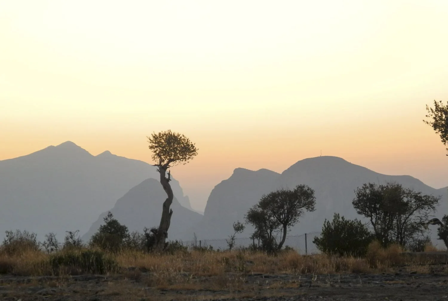 JN PG BG 01-2026-05.jpg