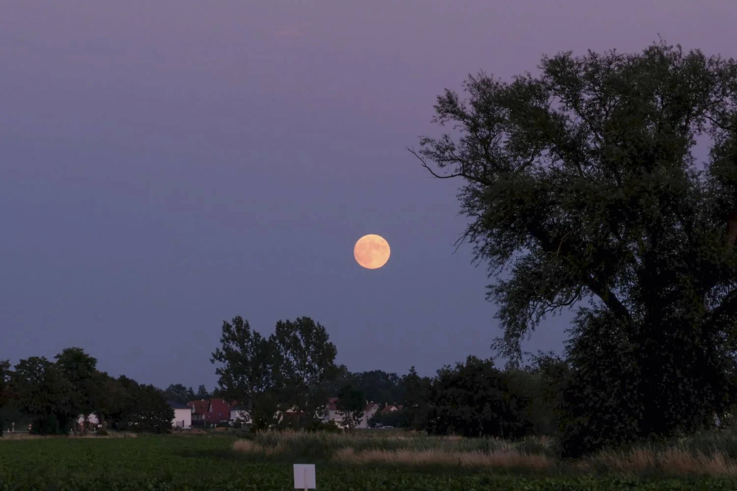 JN PG BG 01-2026-26.jpg