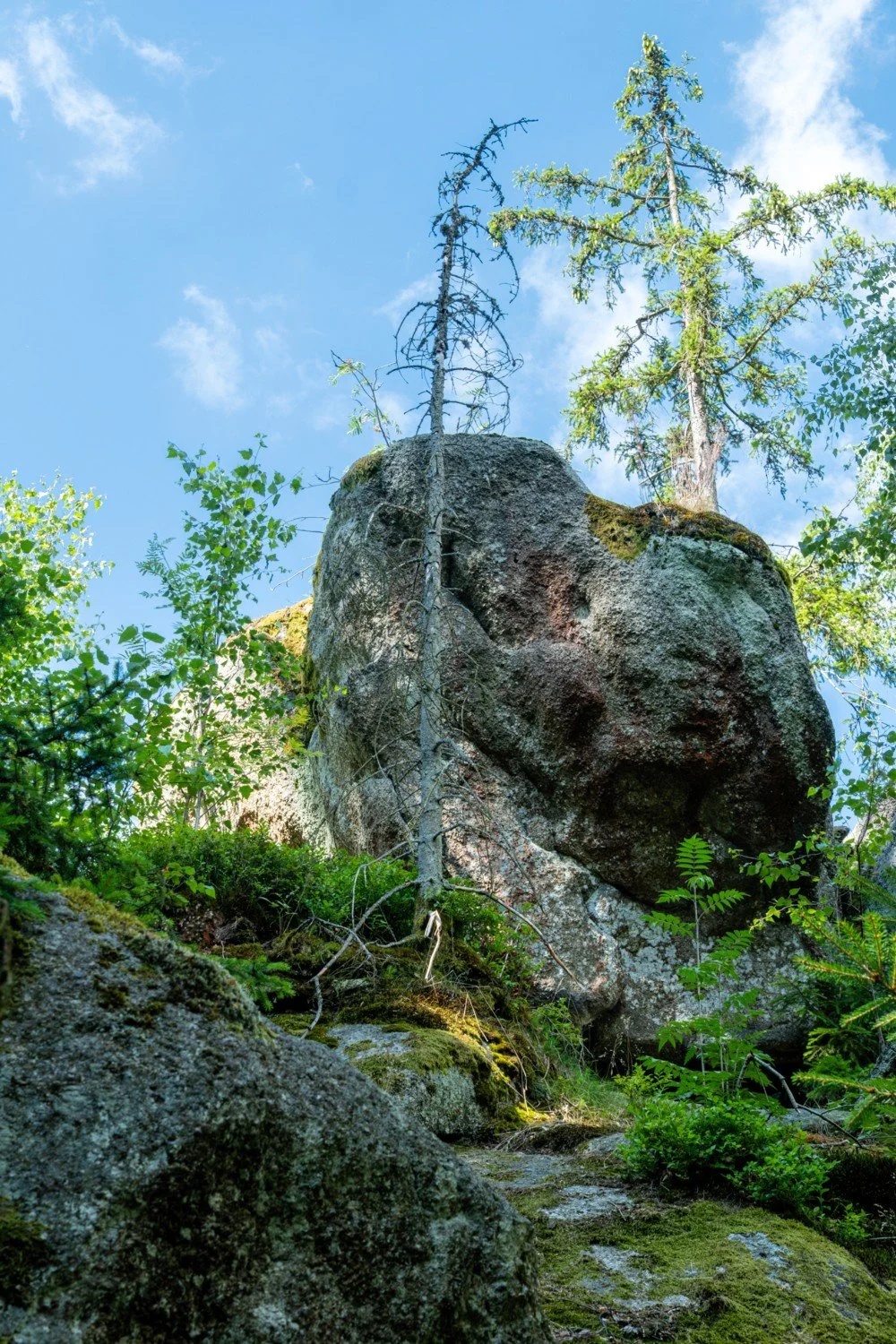 FLLB-AL-08.JPG