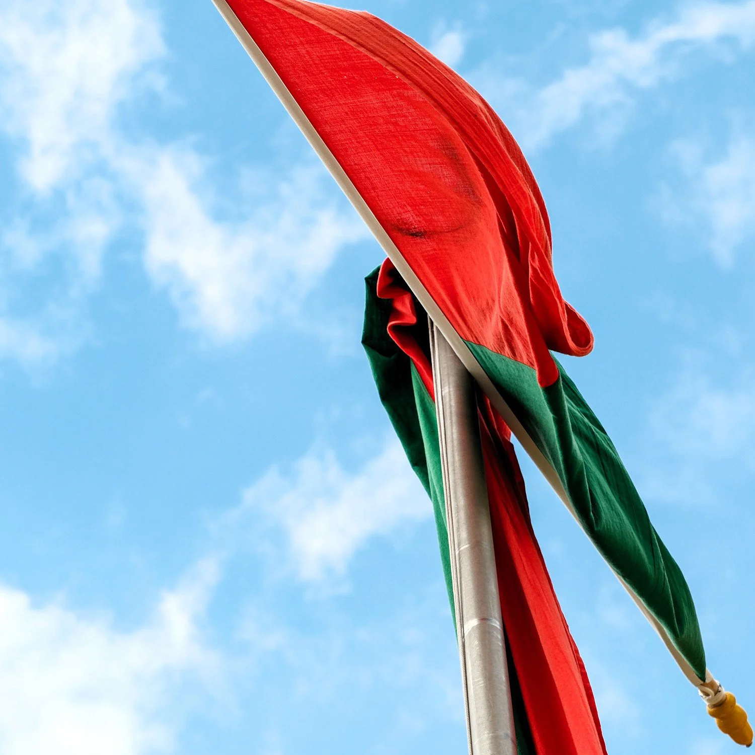 1-AL.jpg