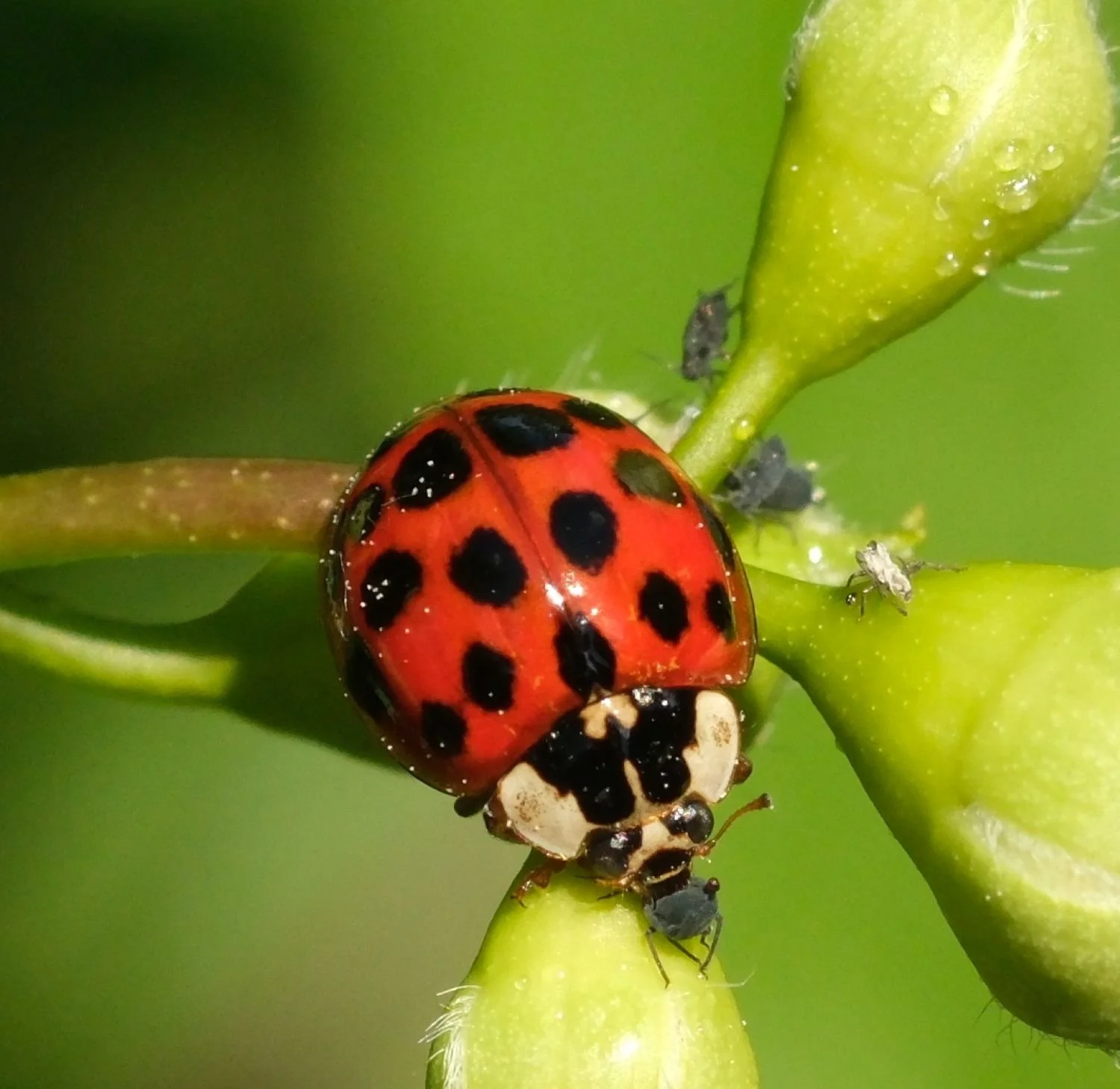 JN Photogilde Bildergalerie 2025 - 25.JPG