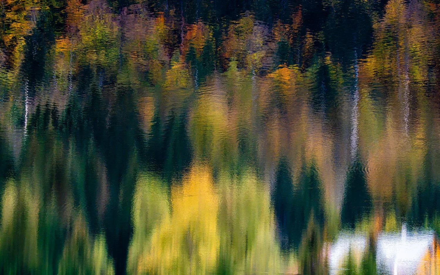 PGE-kleiner Arbersee-AB-10.jpg