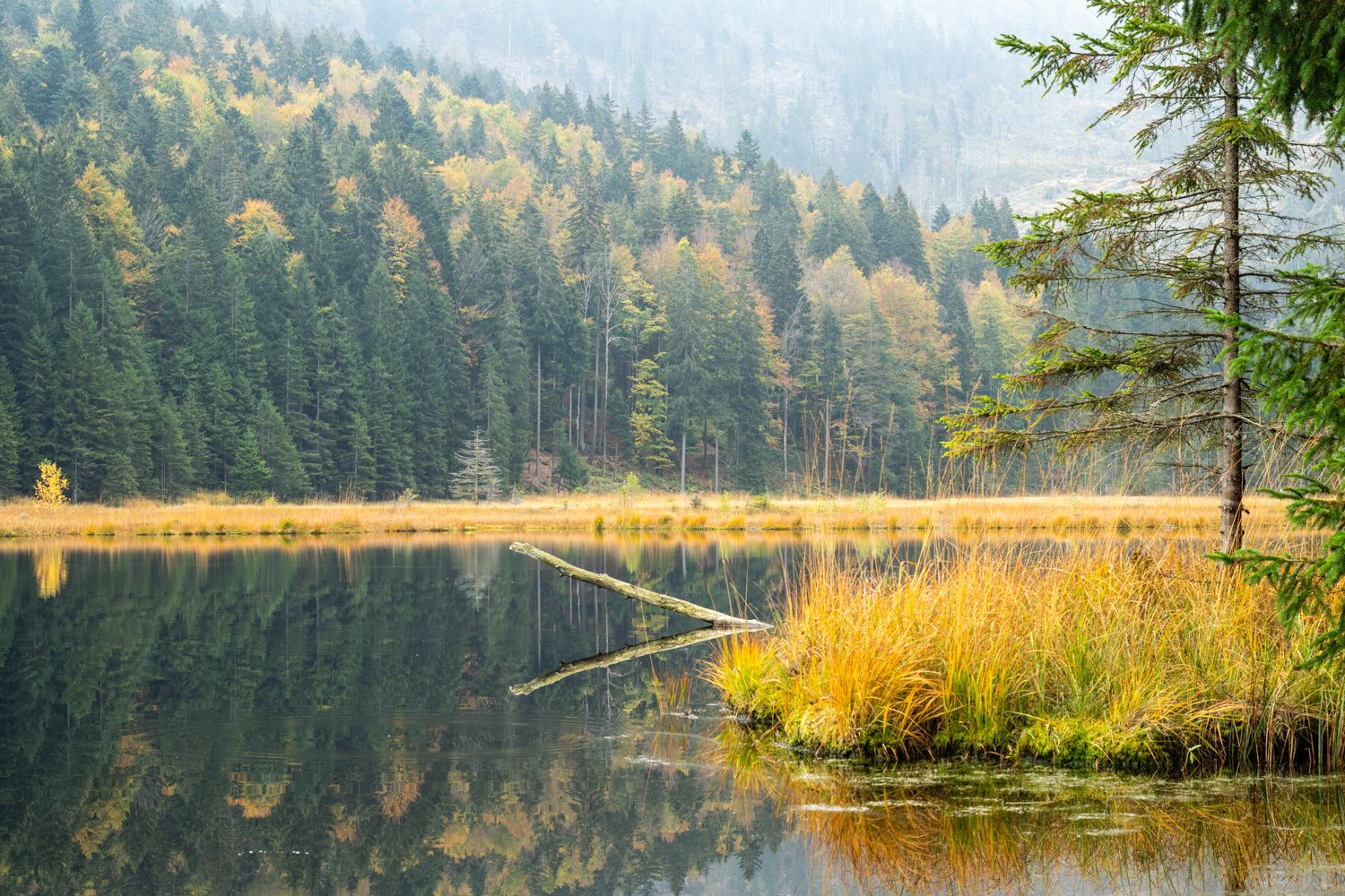 PGE-kleiner Arbersee-WP-09.jpg