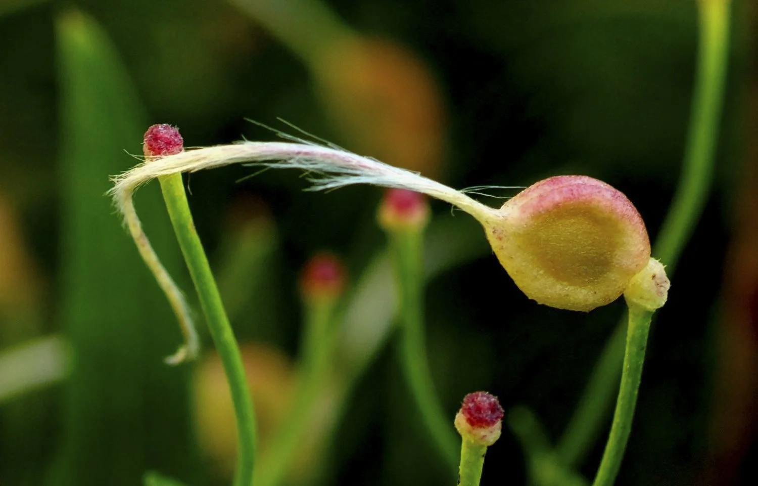 JN PG BG 01-2026-28.jpg