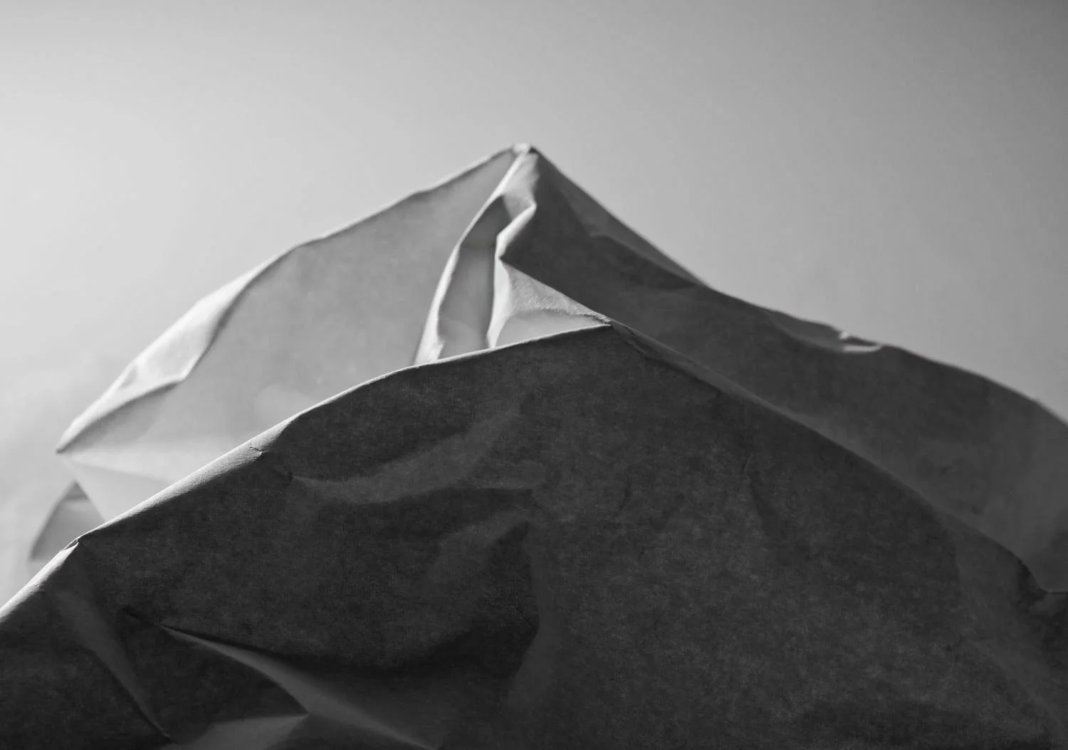 JN PG BG 01-2026-36.jpg