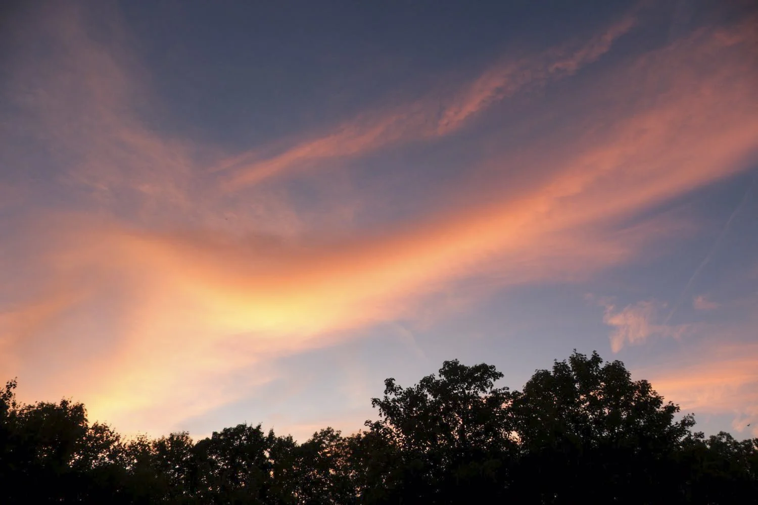 JN PG BG 01-2026-19.jpg