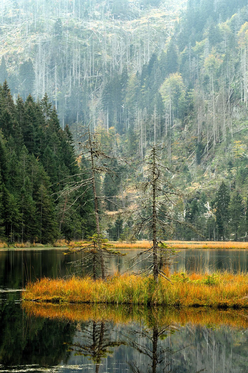 PGE-kleiner Arbersee-AL-05.jpg