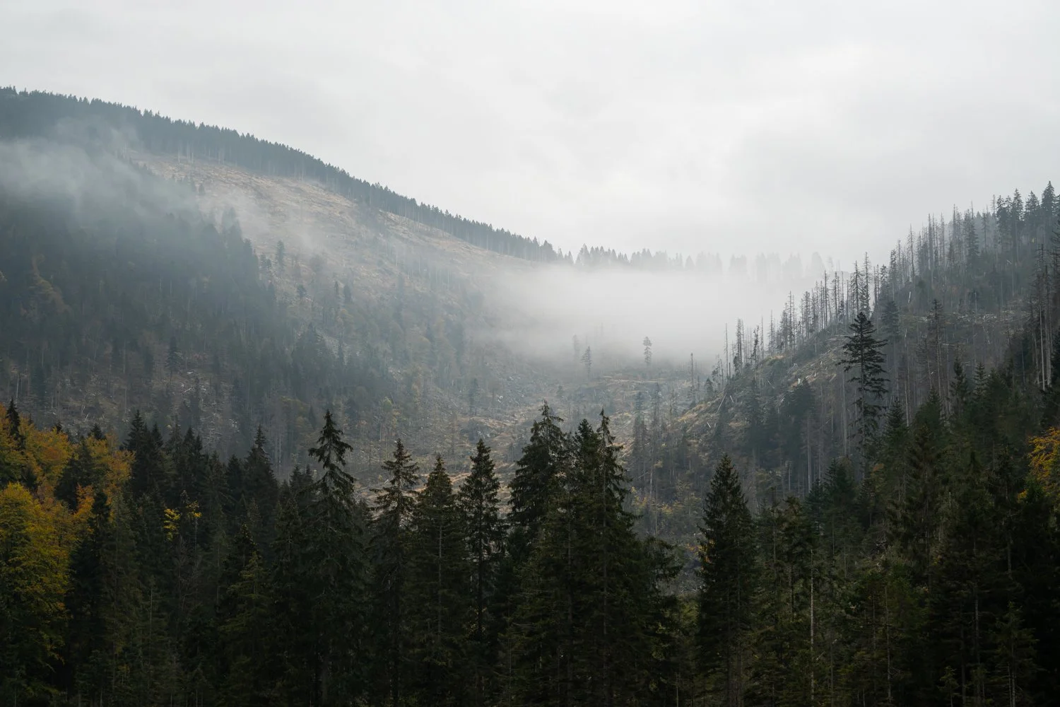 PGE-kleiner Arbersee-AB-03.jpg