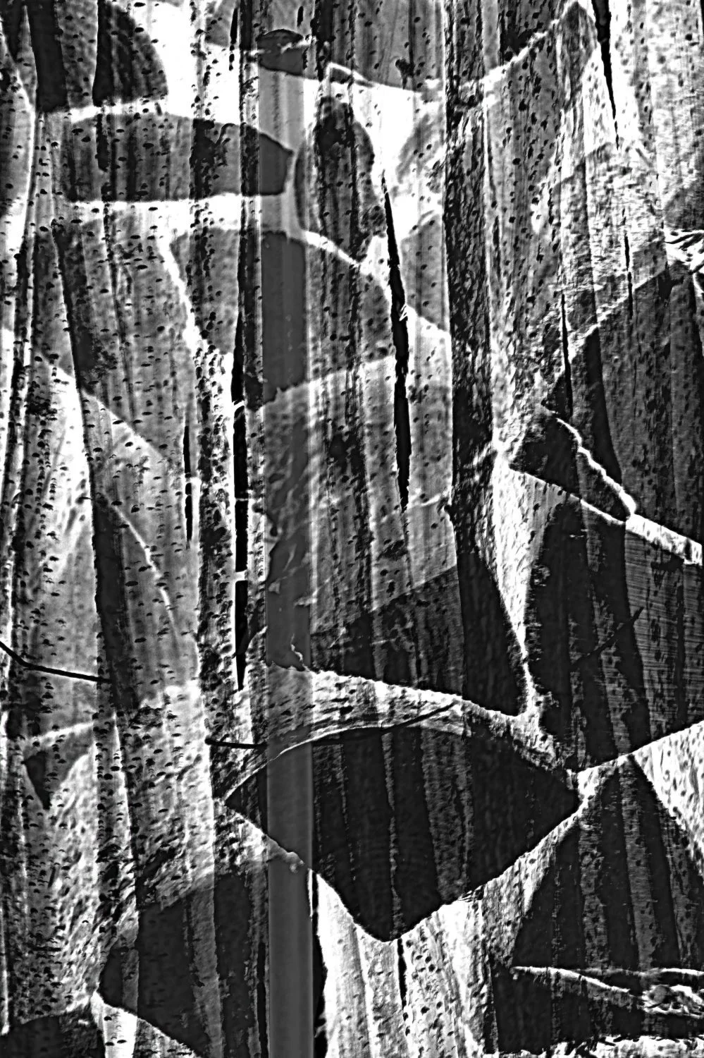 JN PG BG 01-2026-03.jpg