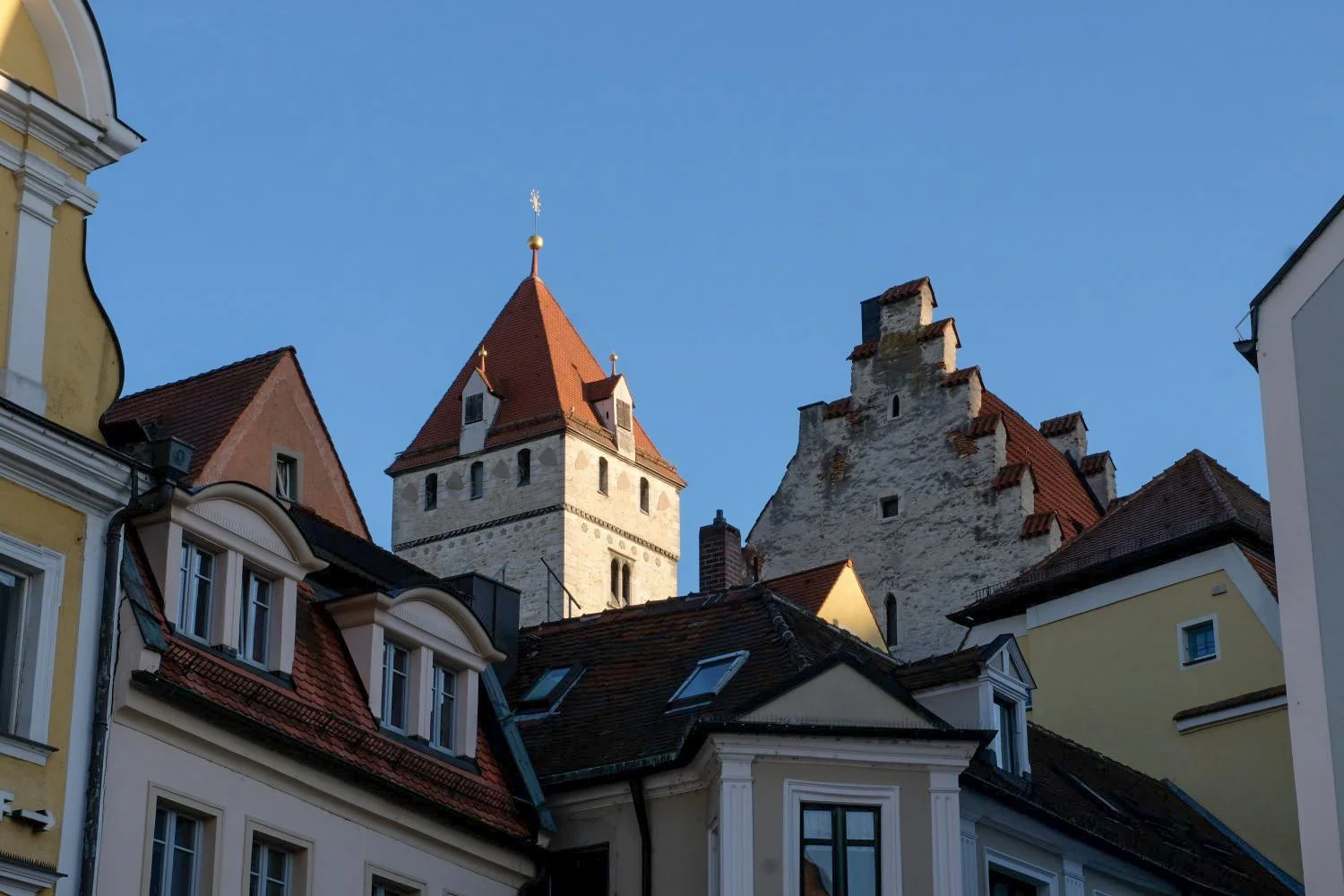 2022 -Johanna Neumann.JPG