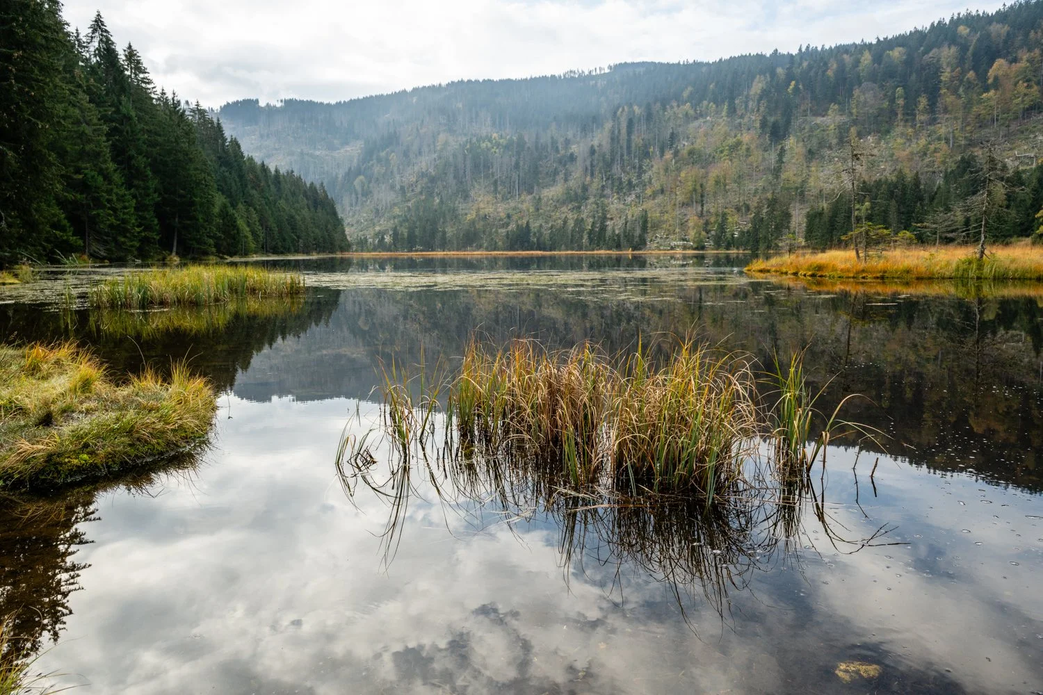 PGE-kleiner Arbersee-WP-01.jpg