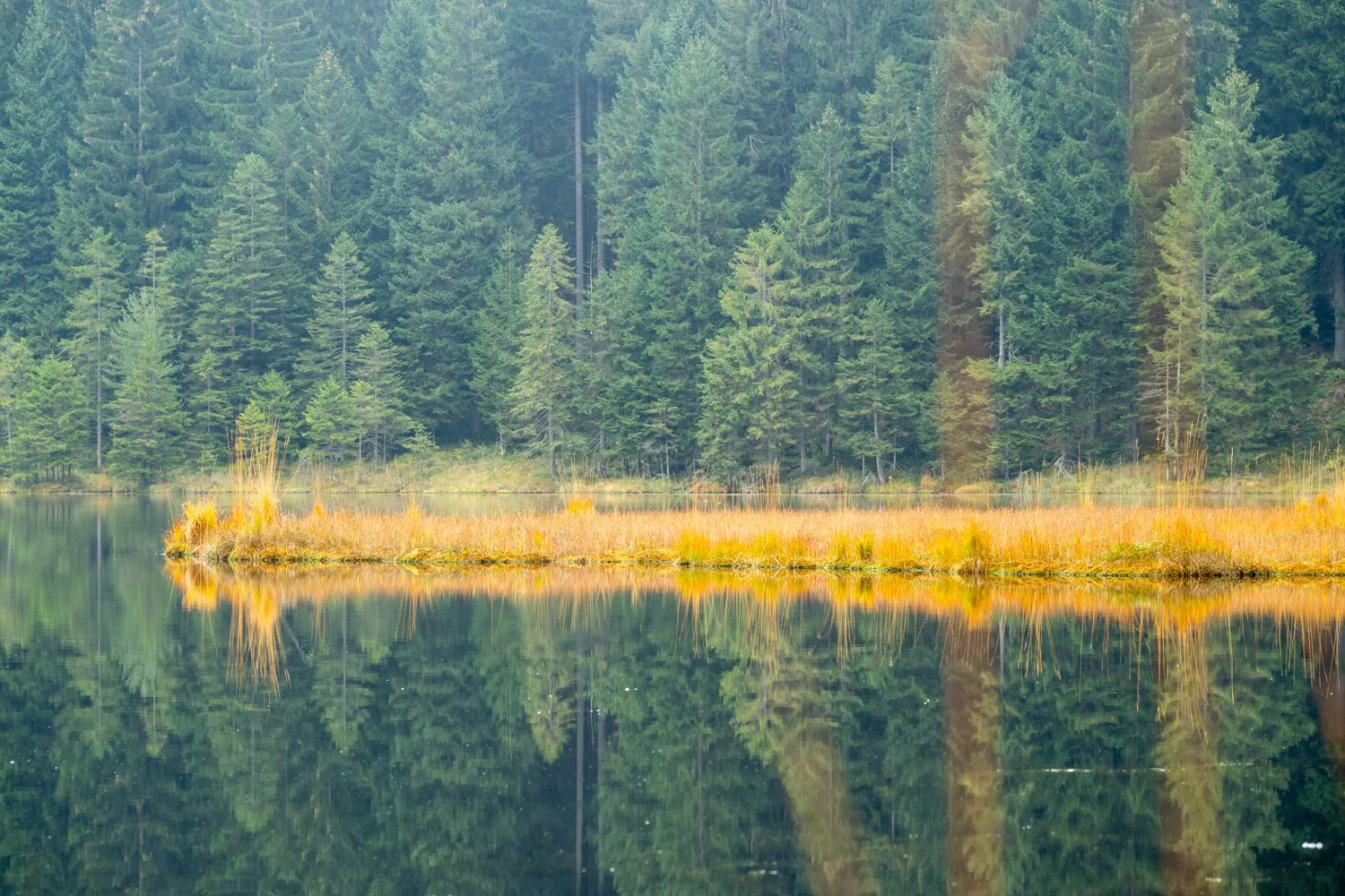 PGE-kleiner Arbersee-WP-10.jpg