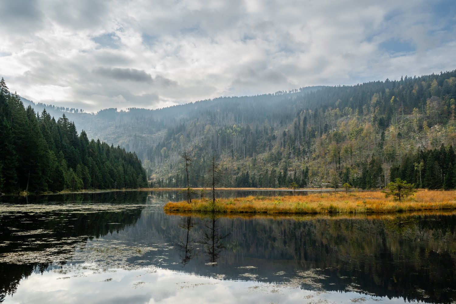 PGE-kleiner Arbersee-WP-04.jpg