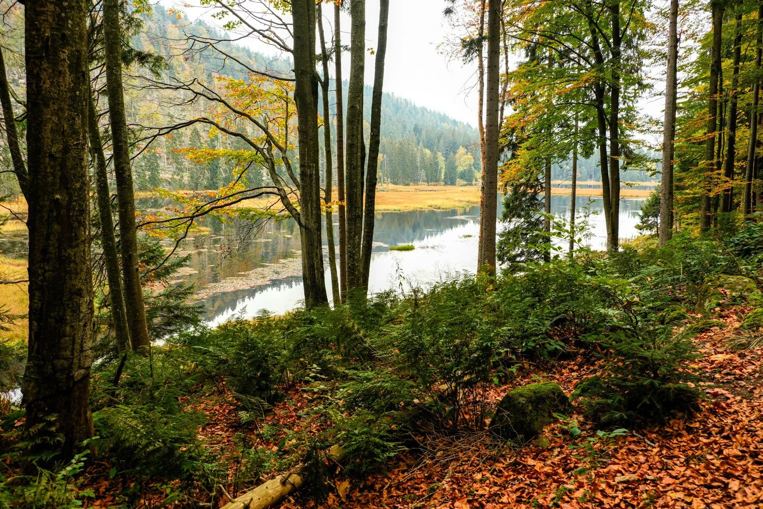 PGE-kleiner Arbersee-AL-02.jpg
