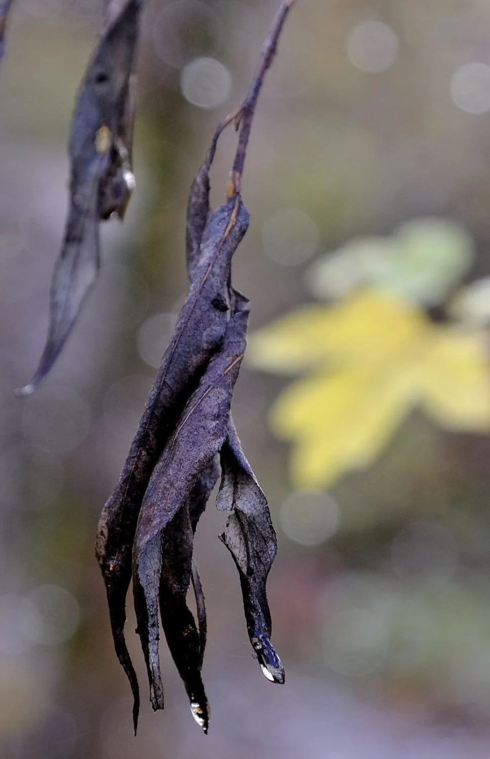 JN PG BG 01-2026-16.jpg