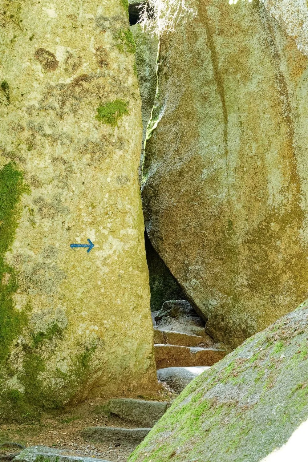 FLLB-HM-04.jpg