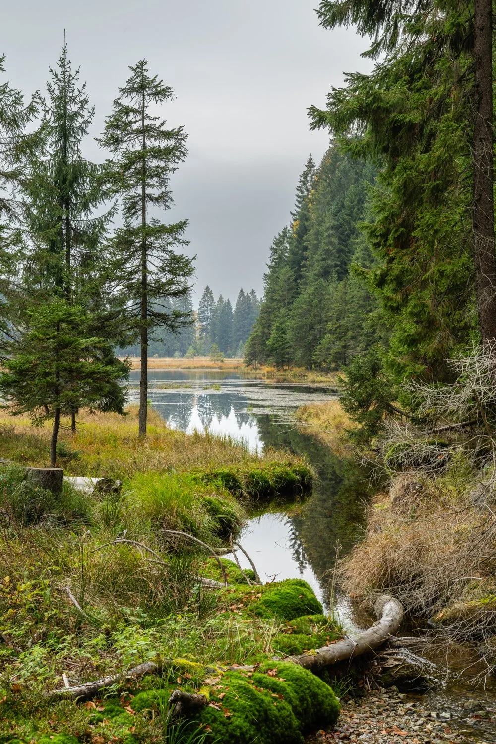 PGE-kleiner Arbersee-WP-16.jpg
