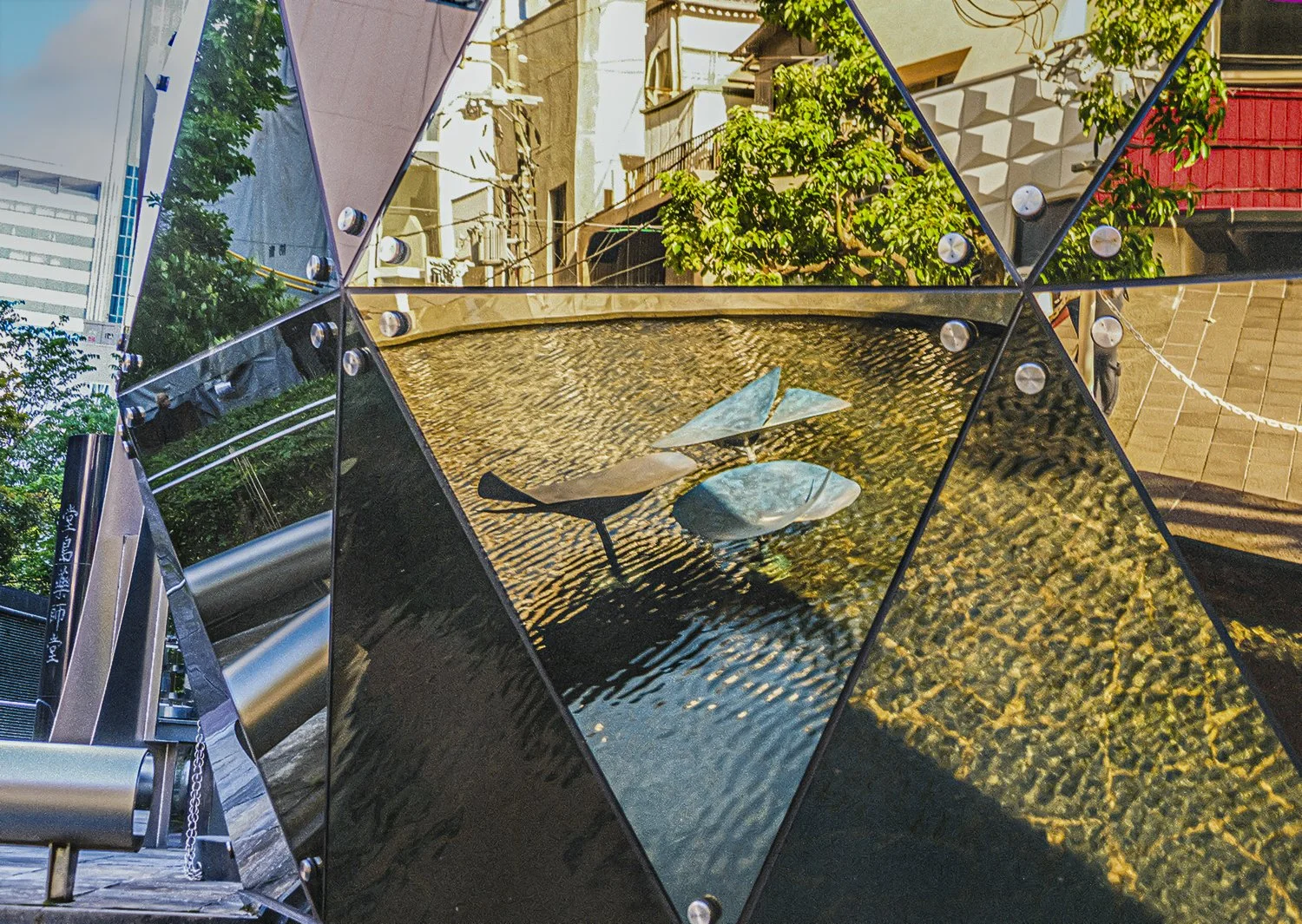 NOVEMBER – LILO SIEGEL