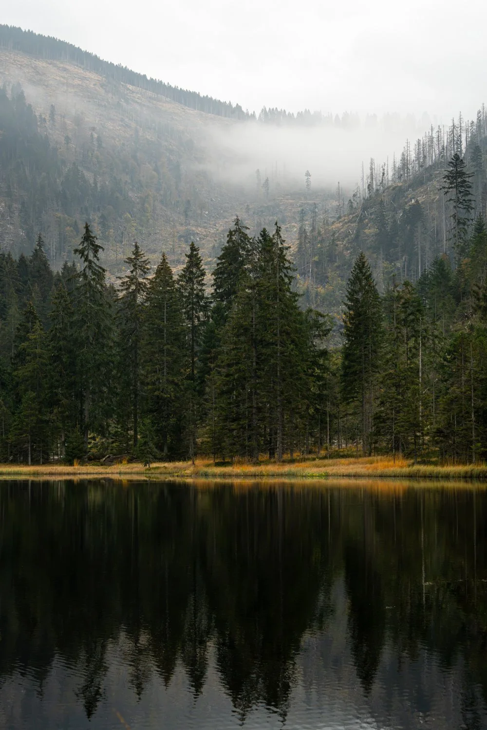 PGE-kleiner Arbersee-AB-15.jpg
