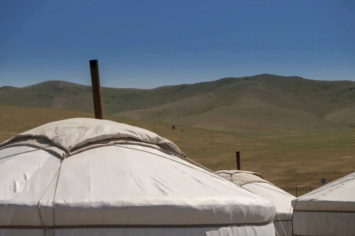 JN PG BG 01-2026-02.jpg