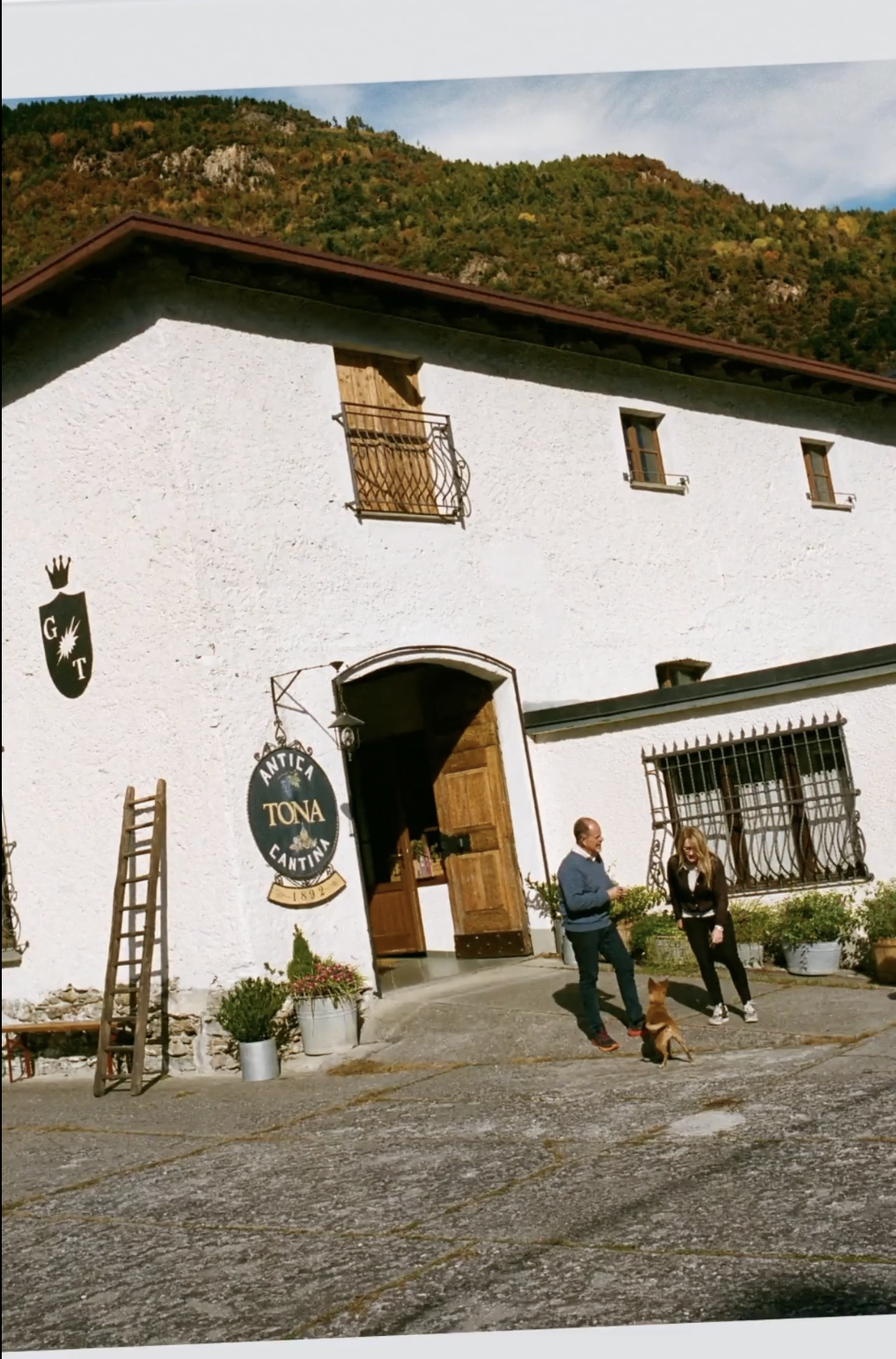 Screenshot 2026-03-20 at 07.40.37.png