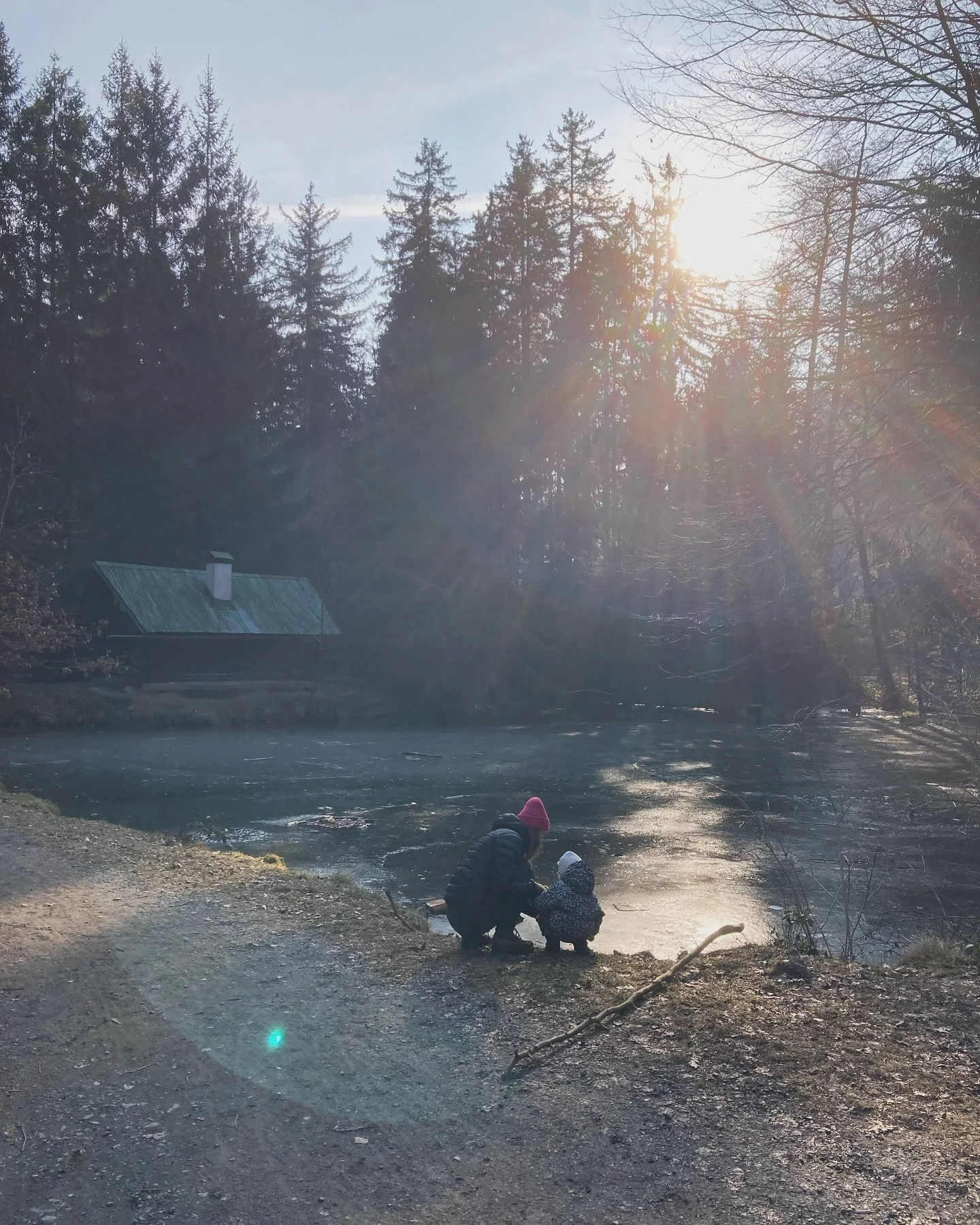 🌞🌲#laskamoje #mujvesmir #rodina