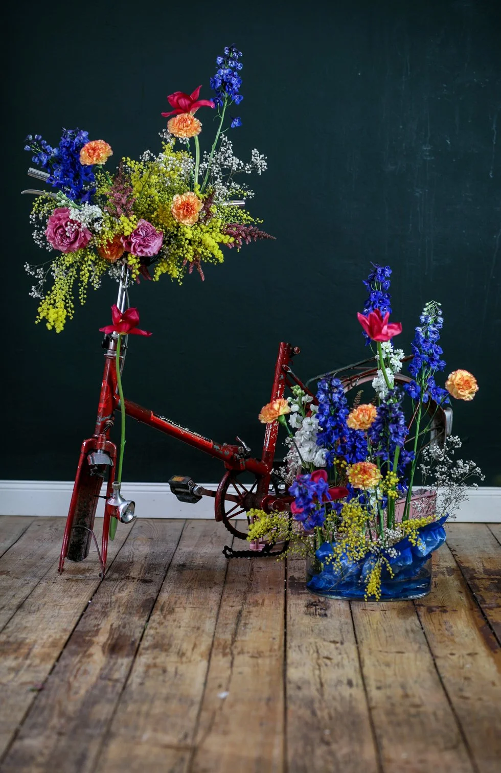 Alli_5 (1 von 1).jpg