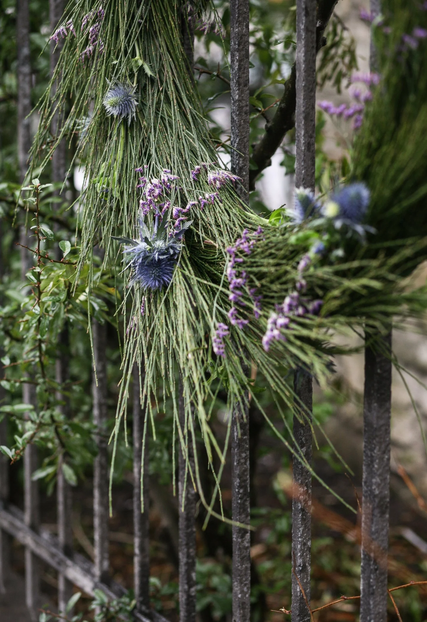 Els_13 (1 von 1).jpg